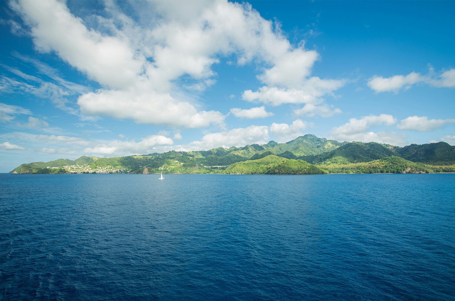 25_sustainabilityseries_Caribbean- horizontal copy 11