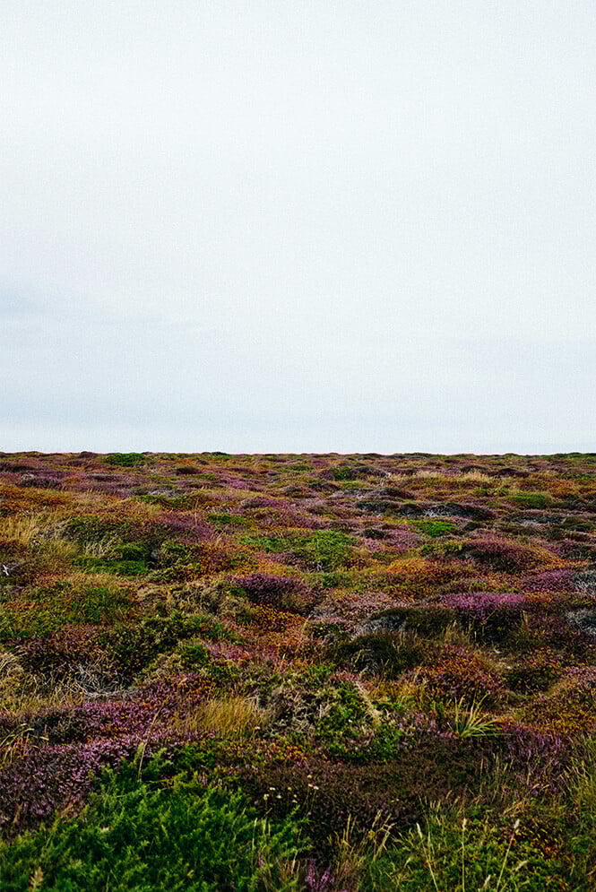 25_sustainabilityseries_UK-vertical- 1