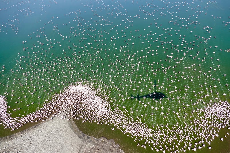 Helicopter Safari in Africa over flamingos