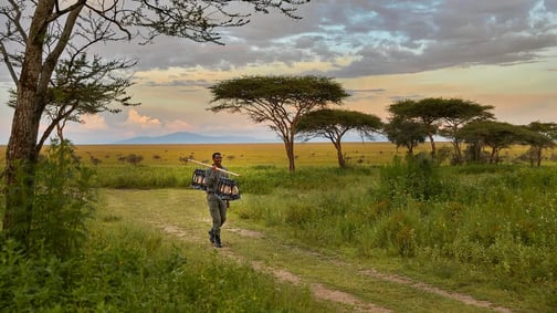 Songa plains