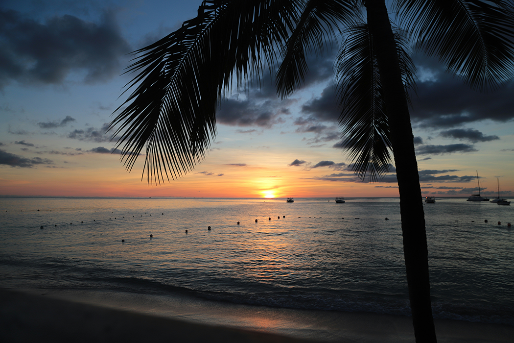 Barbados Sunset