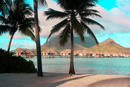 Bora Bora Palm Bungalows