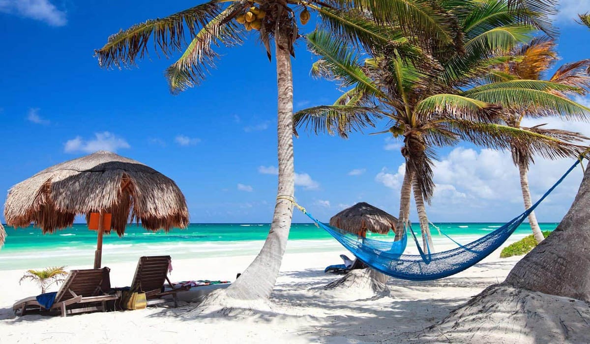 Celebrity Jamaica palm trees and hammock on white sand beach