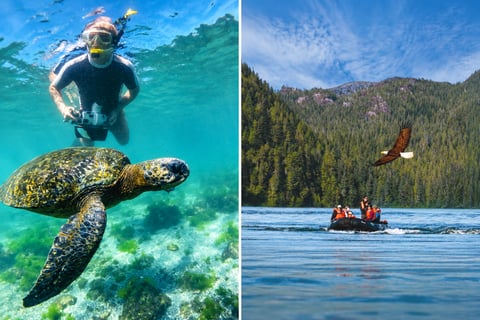 Ecuador and Alaska expeditions