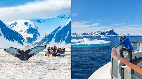 Lindblad expeditions