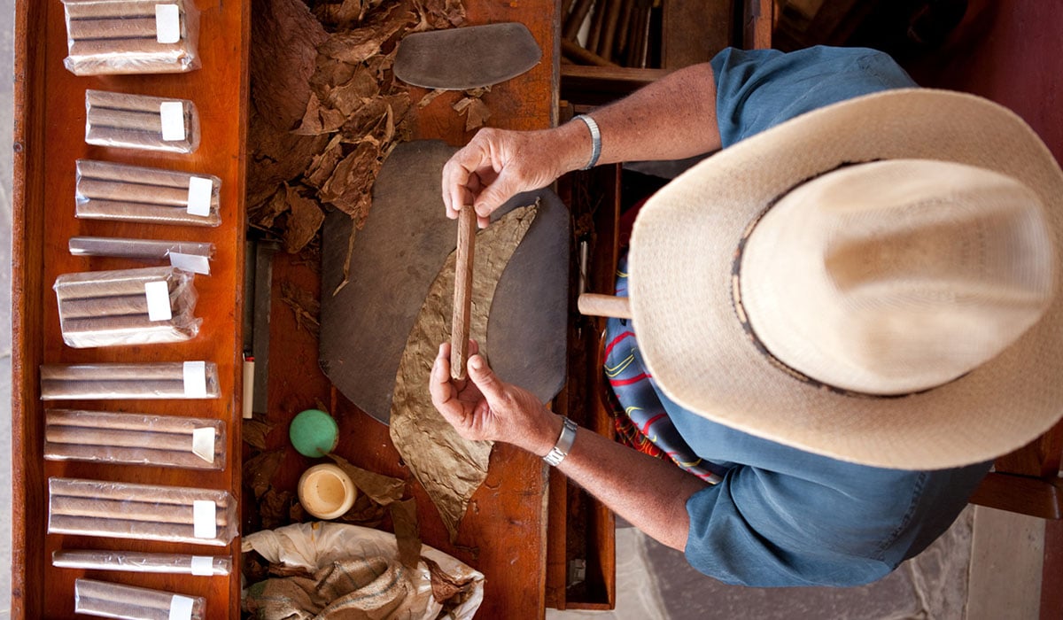 Cuban Cigar