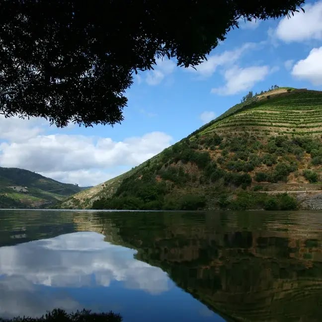 Douro_river