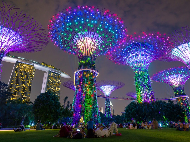 Holland America Singapore Supertree Grove people on grass  at night 