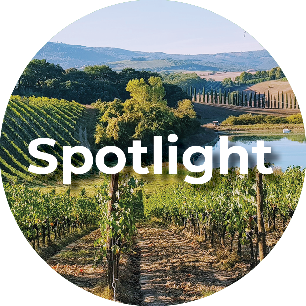 vineyards-spotlight-mvt-collette-travel
