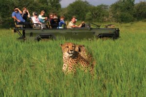 Game Viewing in Hwange Nationalpark