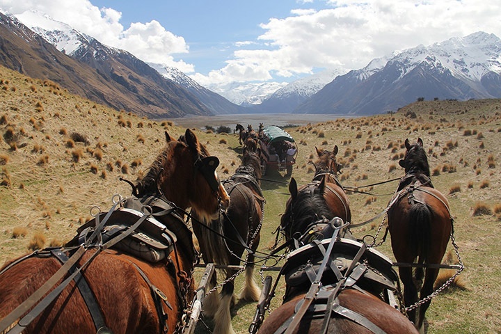 nz tour experiences3