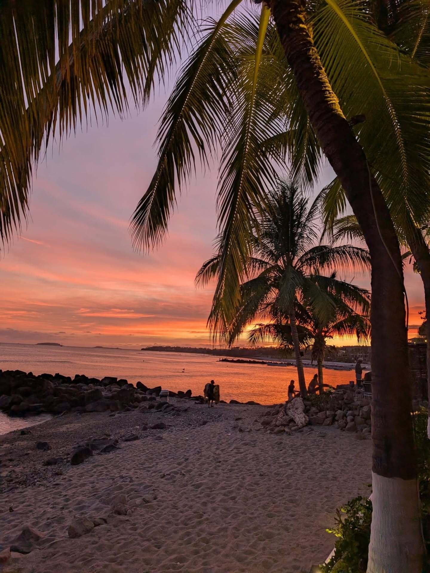 Palm trees frame a rocky beach at sunset, with calm water reflecting vivid orange and pink evening skies.