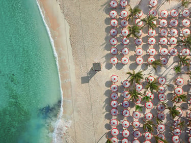 Vibe Shore Club