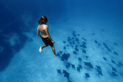 PONANT snorkeling