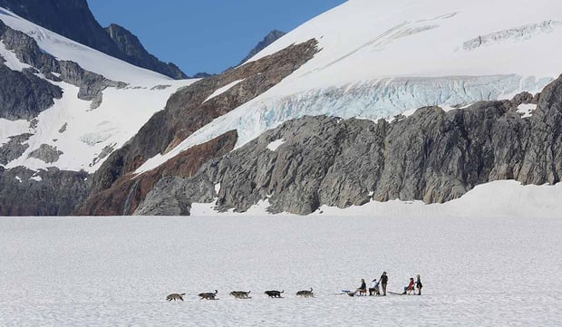 Regent_Seven_Seas-Dogsled