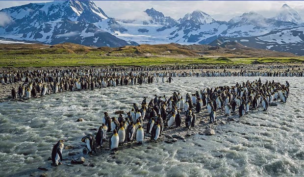 Scenic_Voyages-Antarctic