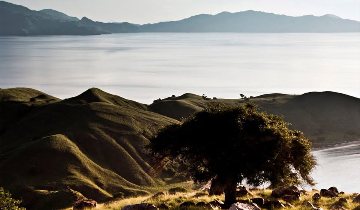 SeabournIndonesia