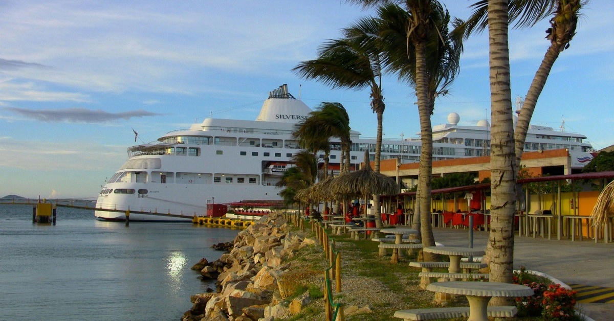 Large white cruise ship docks beside a palm-lined waterfront with picnic tables, rocks, and calm harbor water.