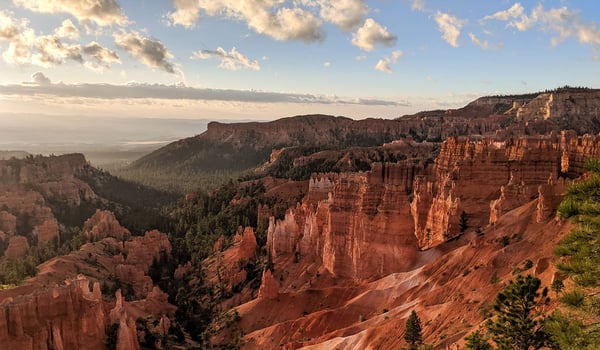 Cycle Your Way Across the US with DuVine Cycling