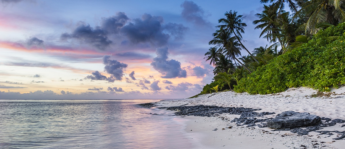 tropical sunset on beach palm trees