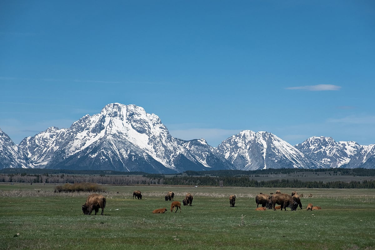 anna-goncharova-5iGnjlqQi_U-unsplash