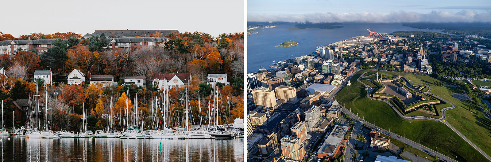 halifax collage