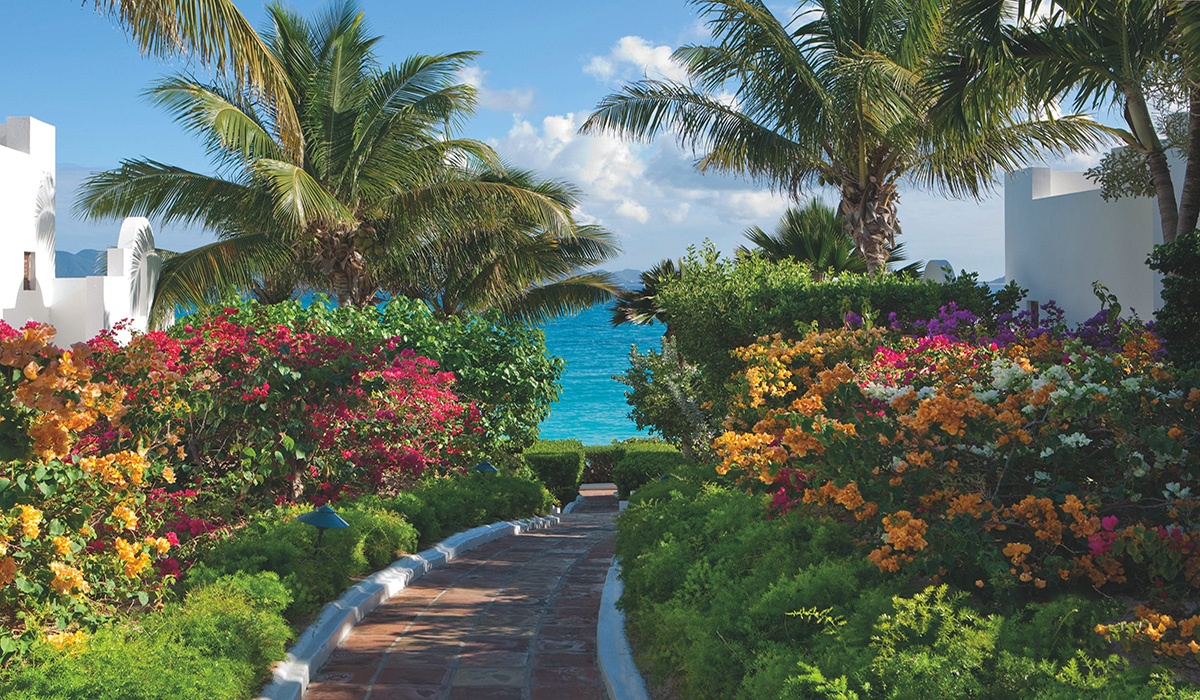 Belmond Cap Juluca Gardens Palm Trees, Flowers and Path to the Beach