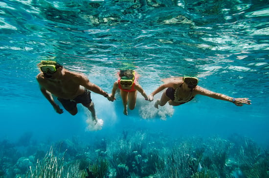 caribbean-snorkeling-web