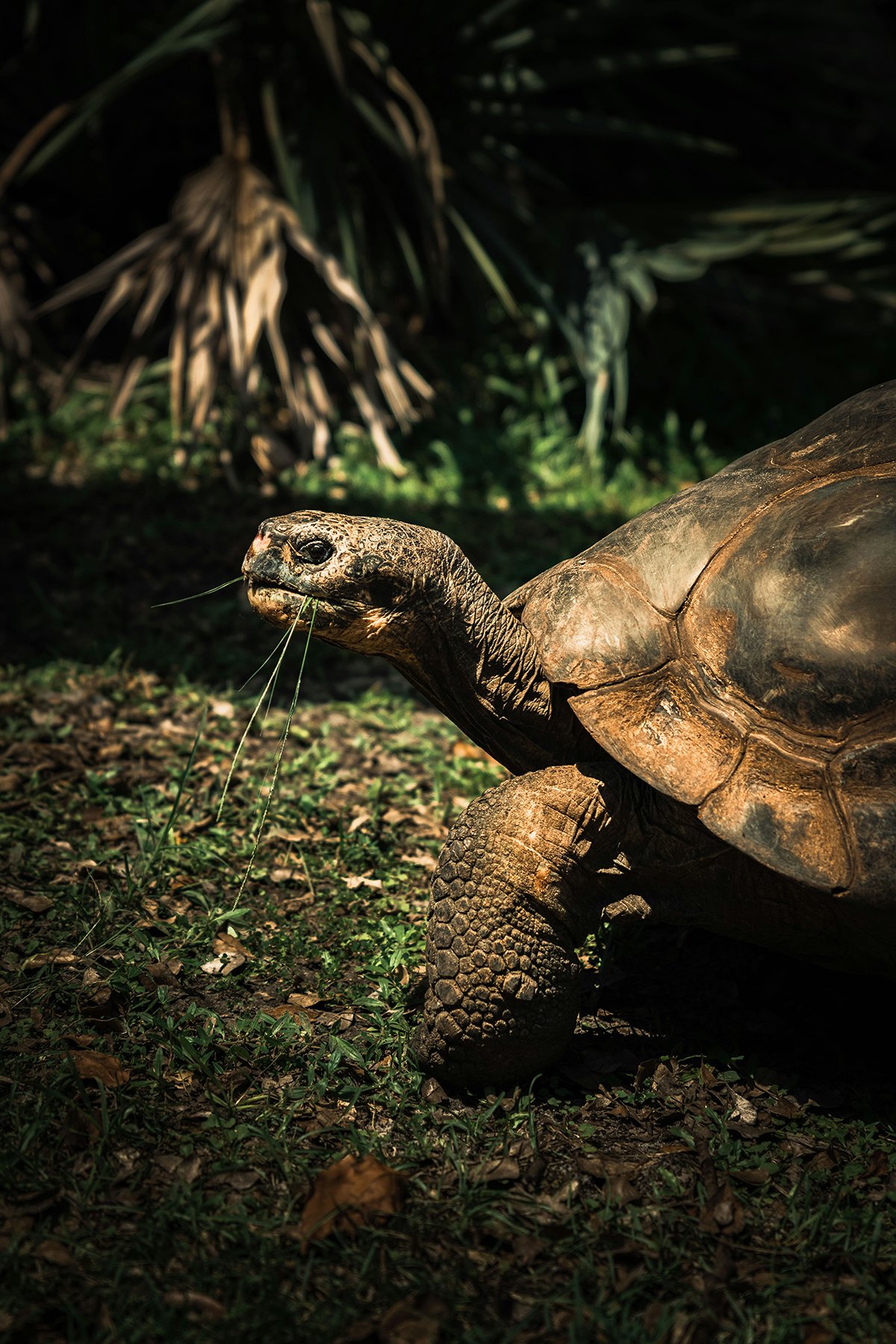 christopher-alvarenga-kXar5SprW2E-unsplash