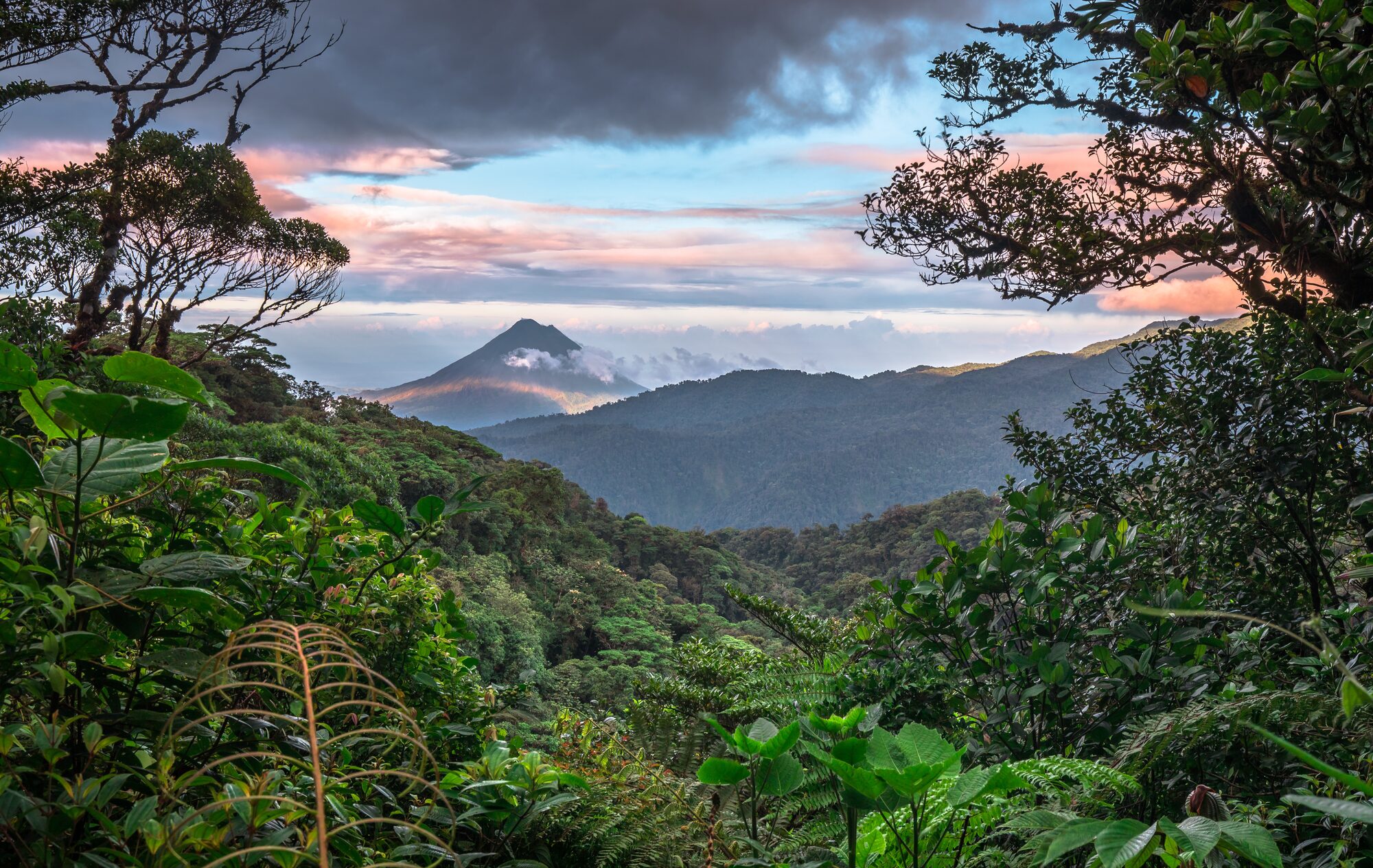 Costa Rica rainforest