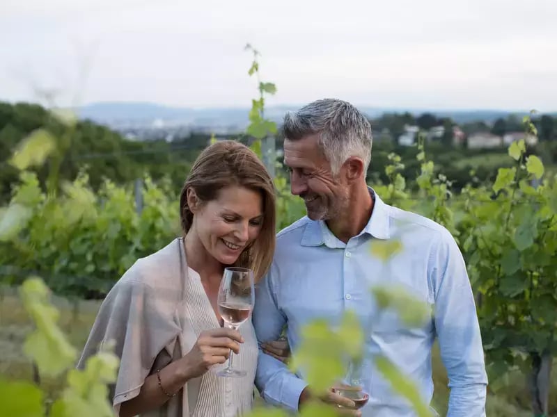 Wine Tasting Experience
