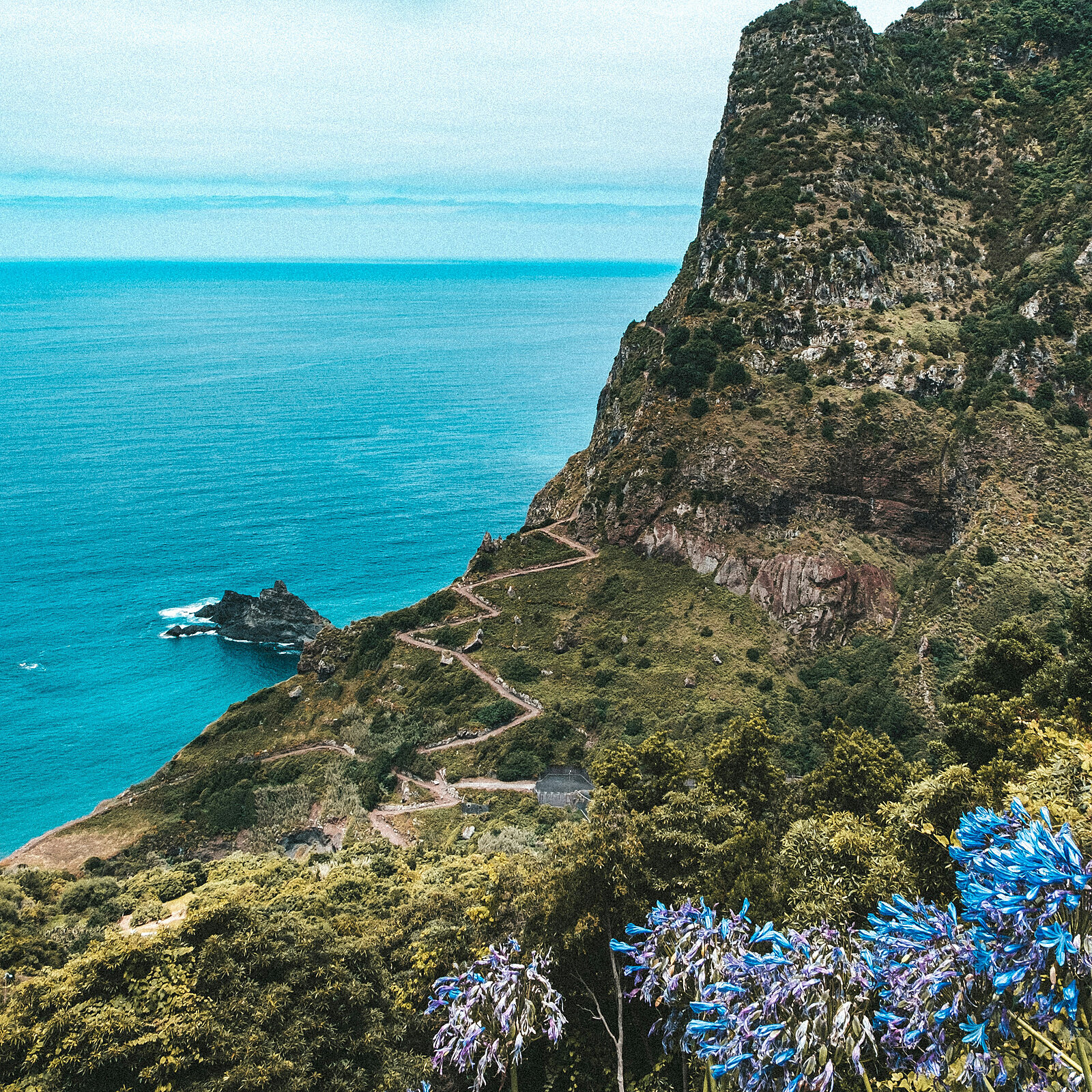 Madeira Islands cliffs