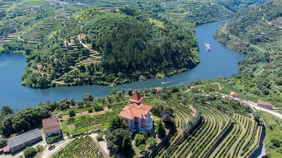douro vineyards aerial