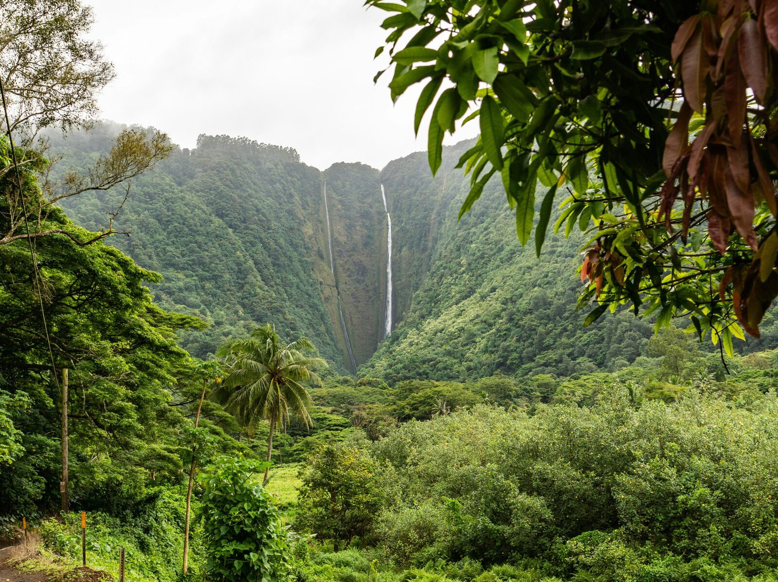 Waterfall in Hilo