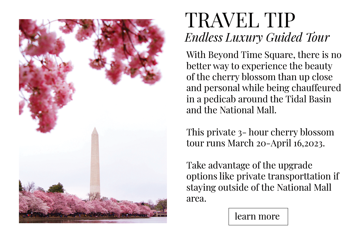 learn more travel tip- beyond time square- cherry blossooms