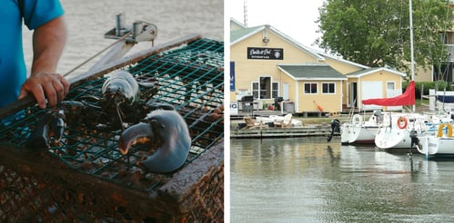 lobster-harbor-horizontal-collage