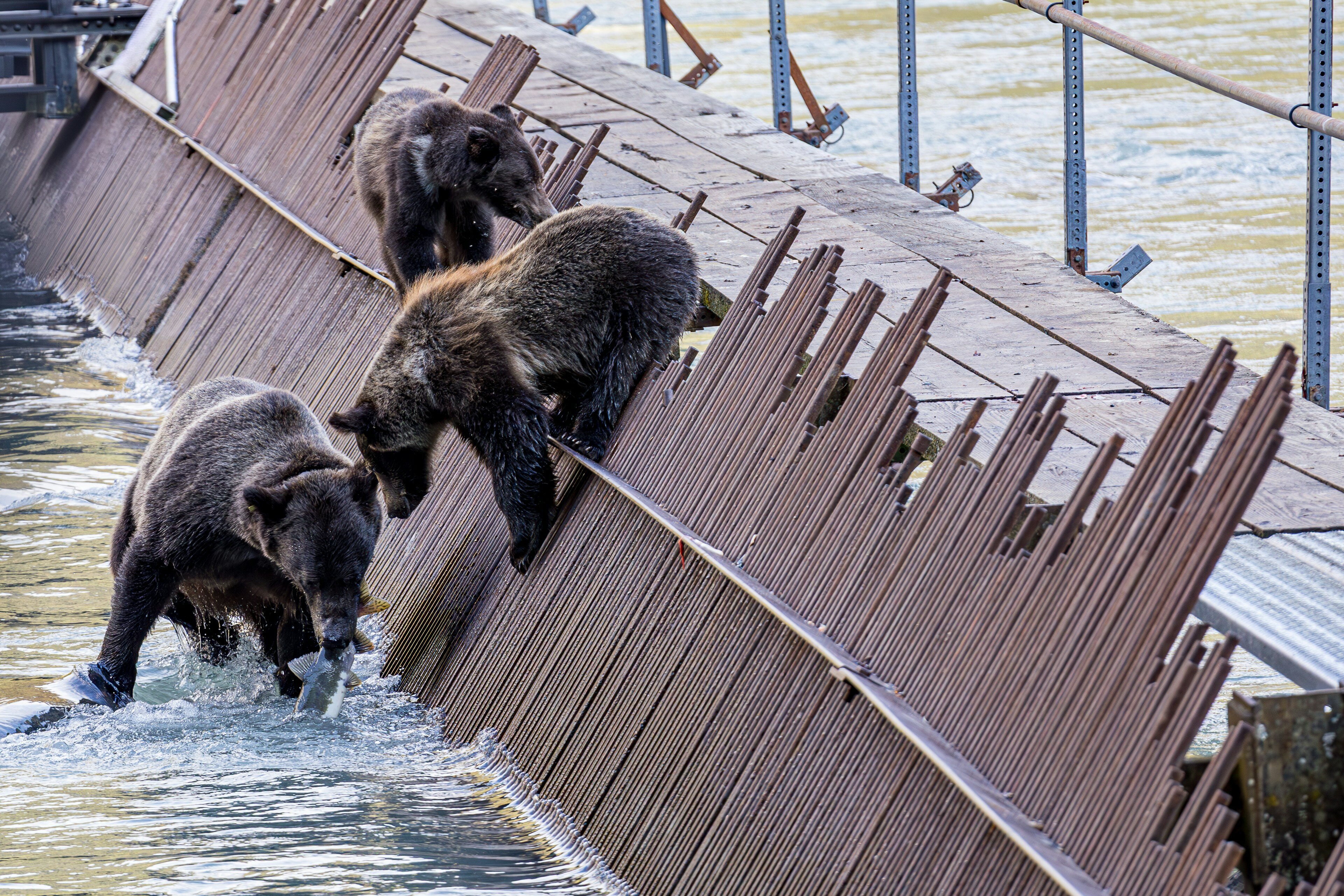 lori-stevens-qXV-XQwKjbk-unsplash