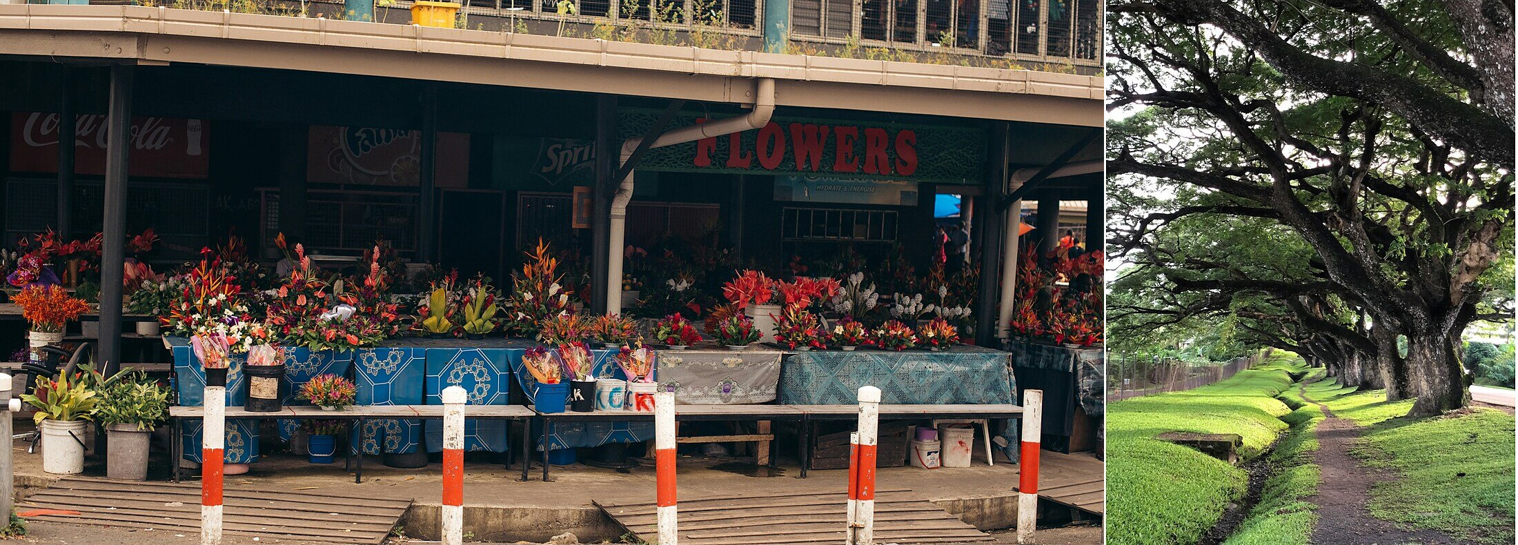 Suva market and Fiji countryside