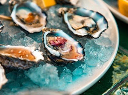 oysters-web-1600