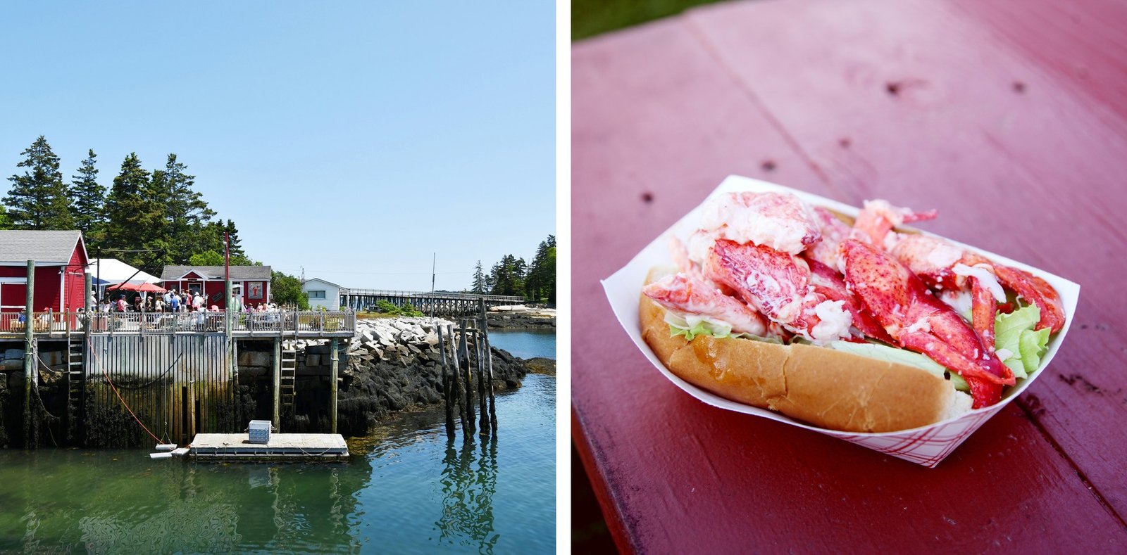 pier-lobster-horizontal-collage