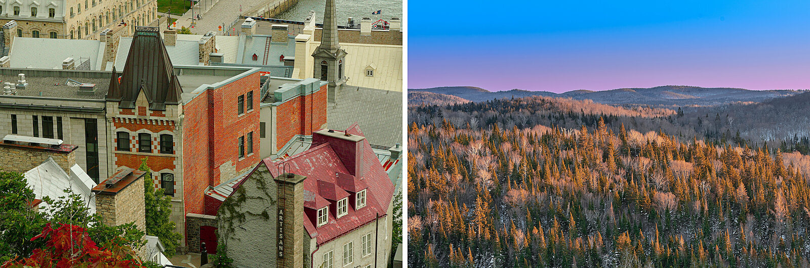 quebec art deco forest collage