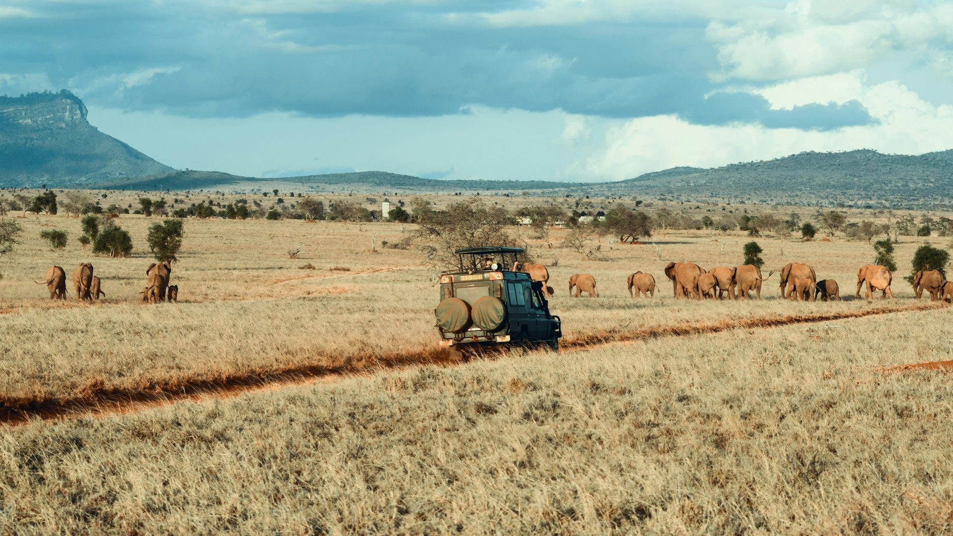 Safari with elephants