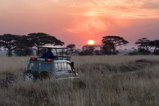 Safari vehicle at sunset