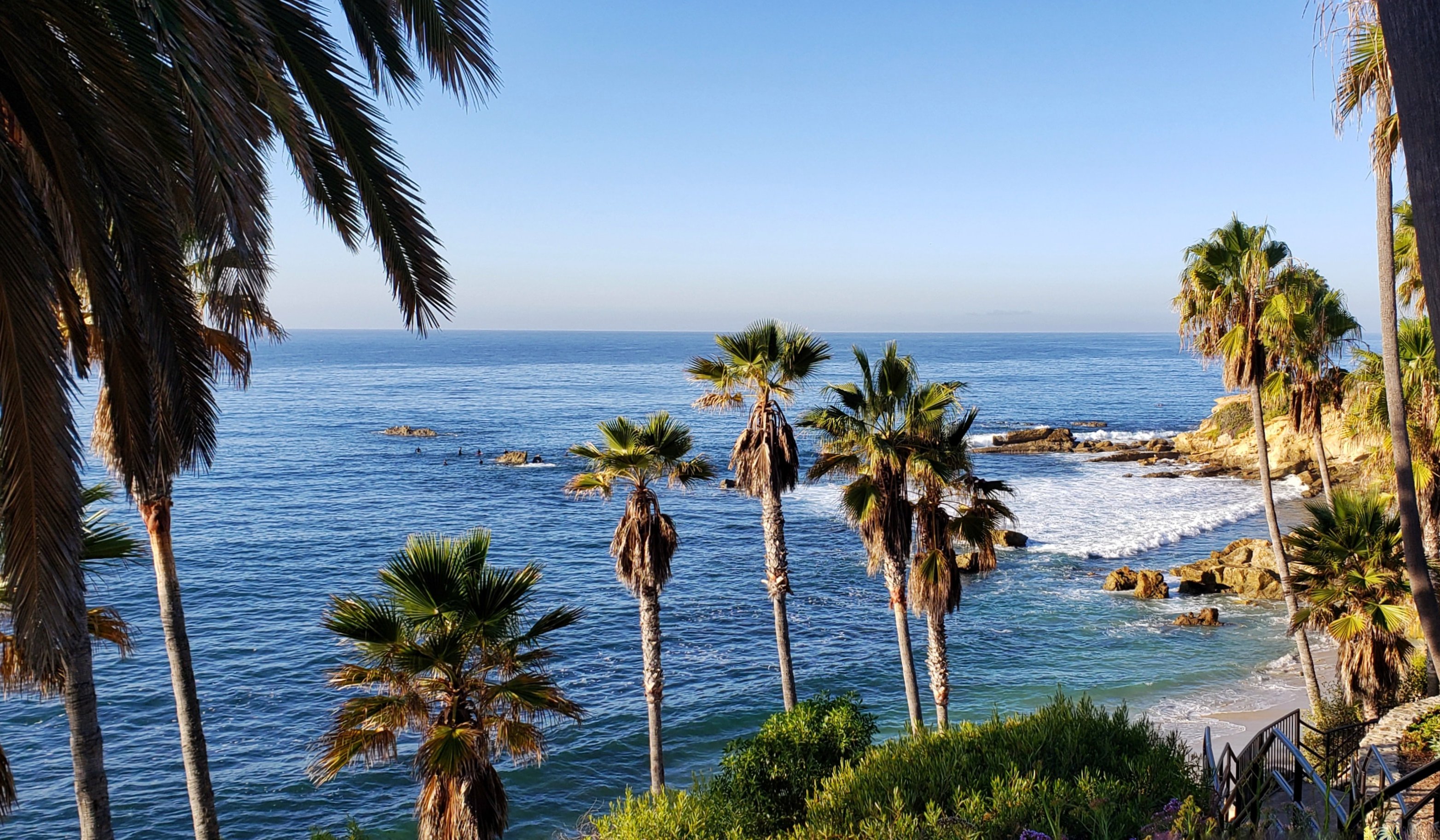 palm trees- california-travel-drive-electric
