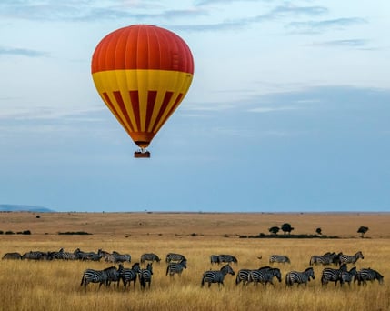 Serengeti hot air balloon and zebras