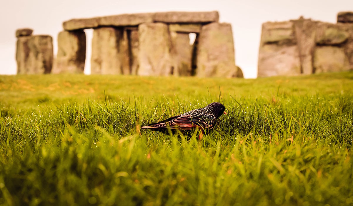 stonehenge