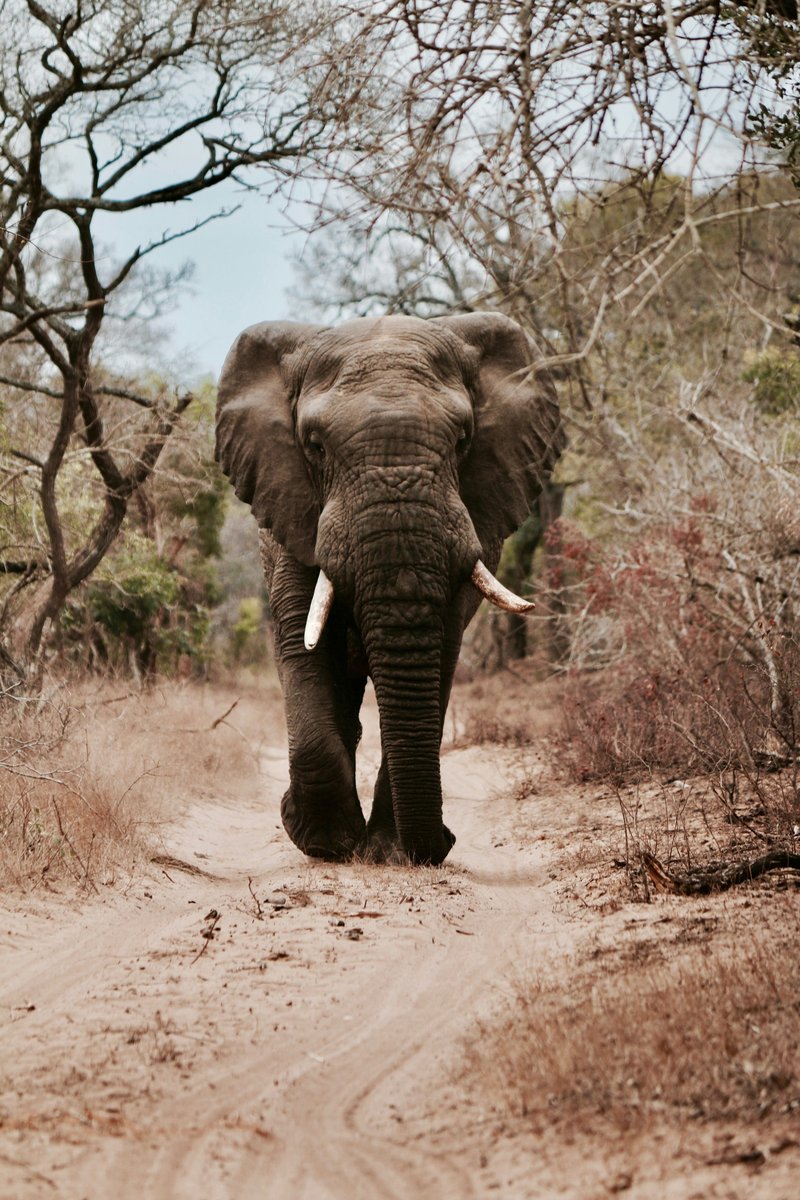 will-shirley-xRKcHoCOA4Y-unsplash-1