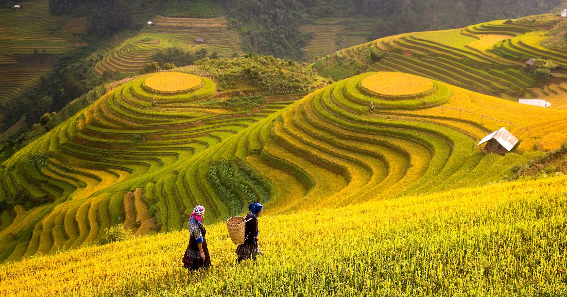 Just Back From: Vietnam