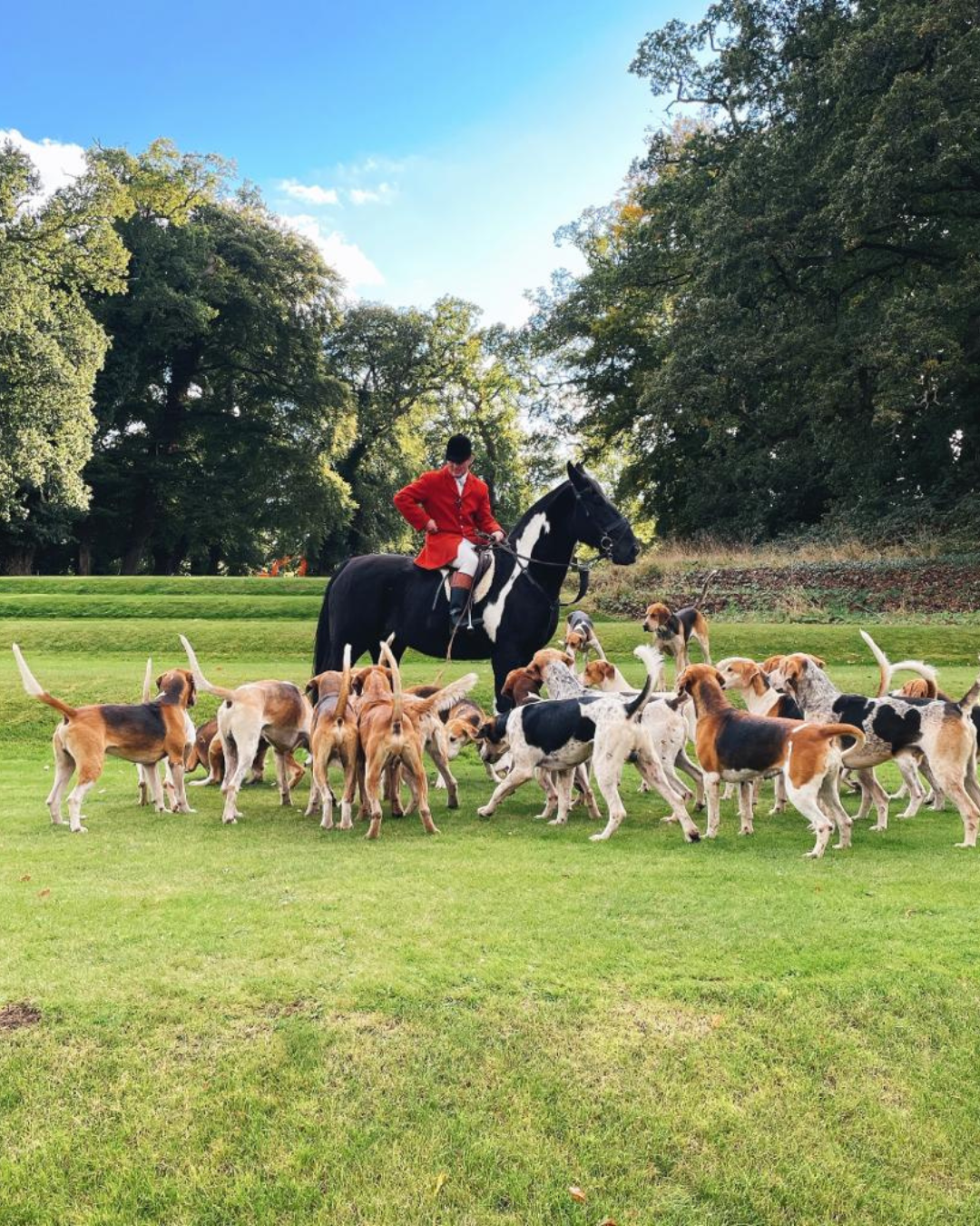CI Horse and Hounds 1080x1350