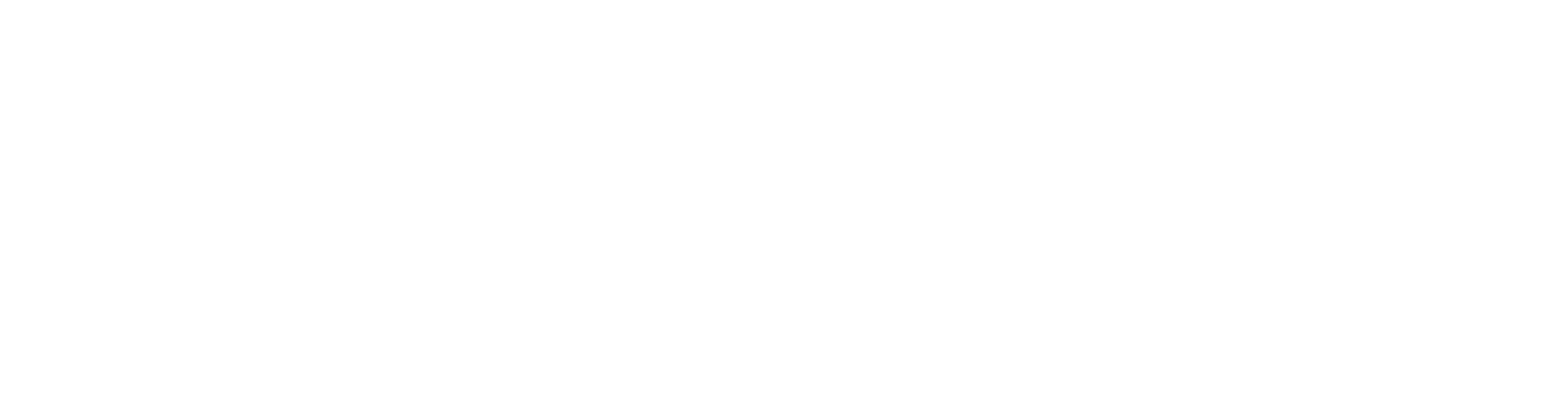KERZNER LOGO WHITE